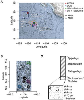 From the Surface to the Deep-Sea: Bacterial Distributions across <mark class="highlighted">Polymetallic Nodule</mark> Fields in the Clarion-Clipperton Zone of the Pacific Ocean